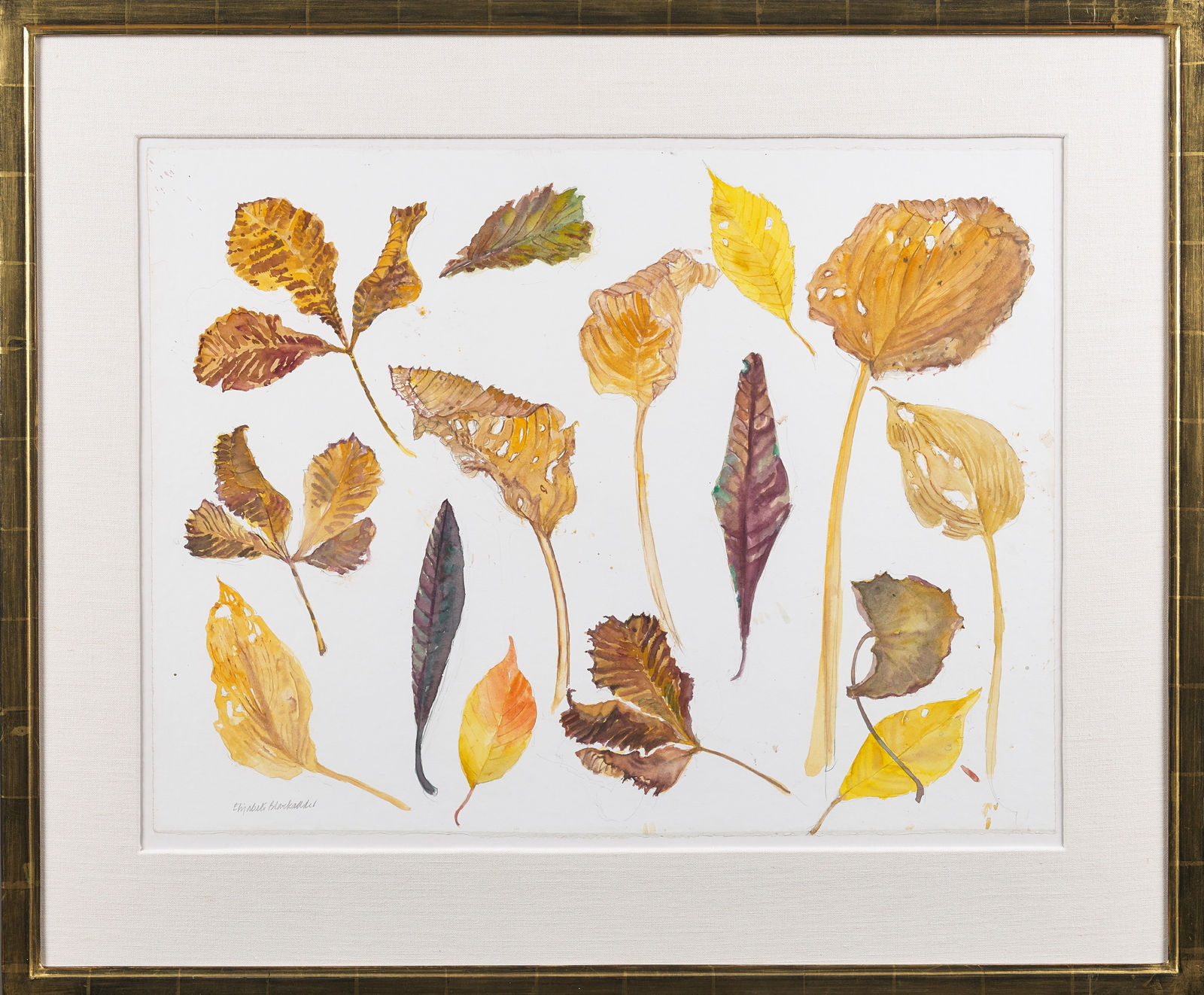 Elizabeth Blackadder RSA, Pavement Leaves, 2013