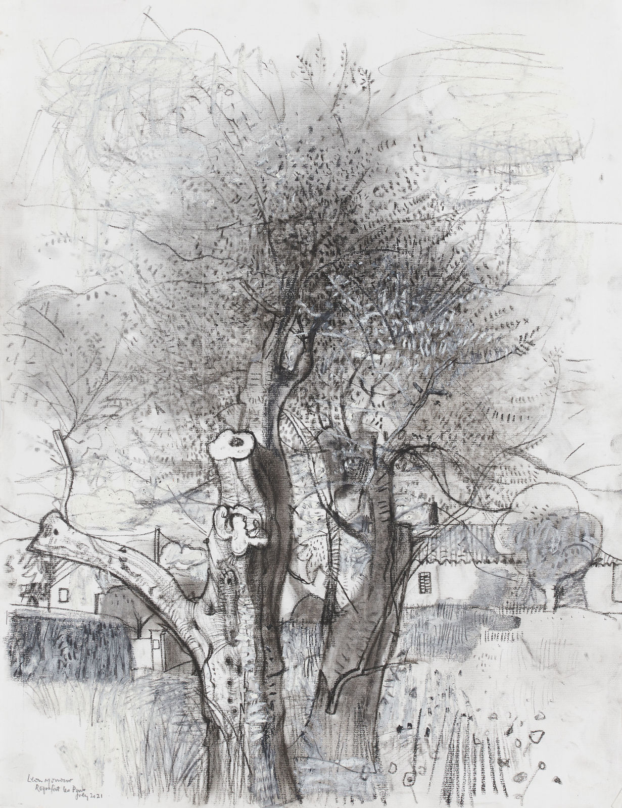 Leon Morrocco RSA, Old Olive Tree and Village, Biot, 2021