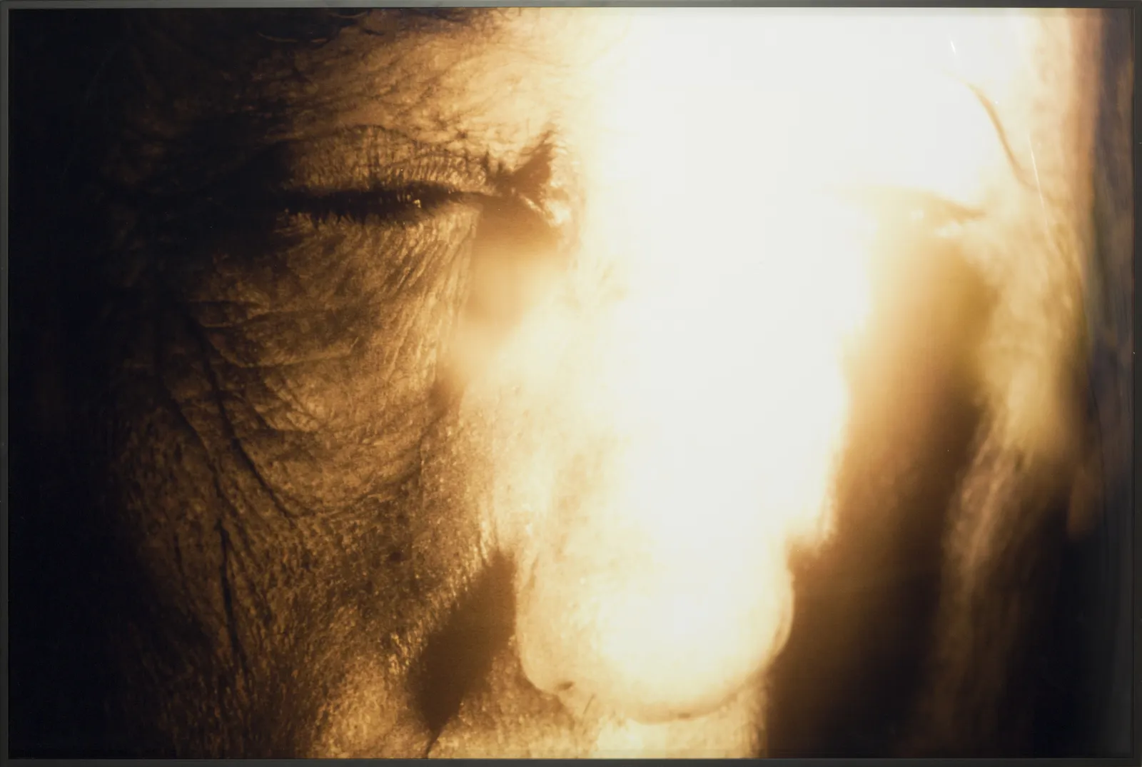 Copy and Paste, Warhol