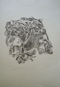 William Spratling, Tierra Caliente, Before 1932