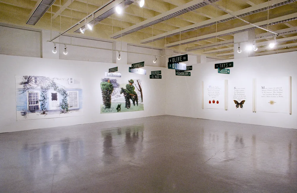 Celia Álvarez Muñoz, Postales, 1987-88