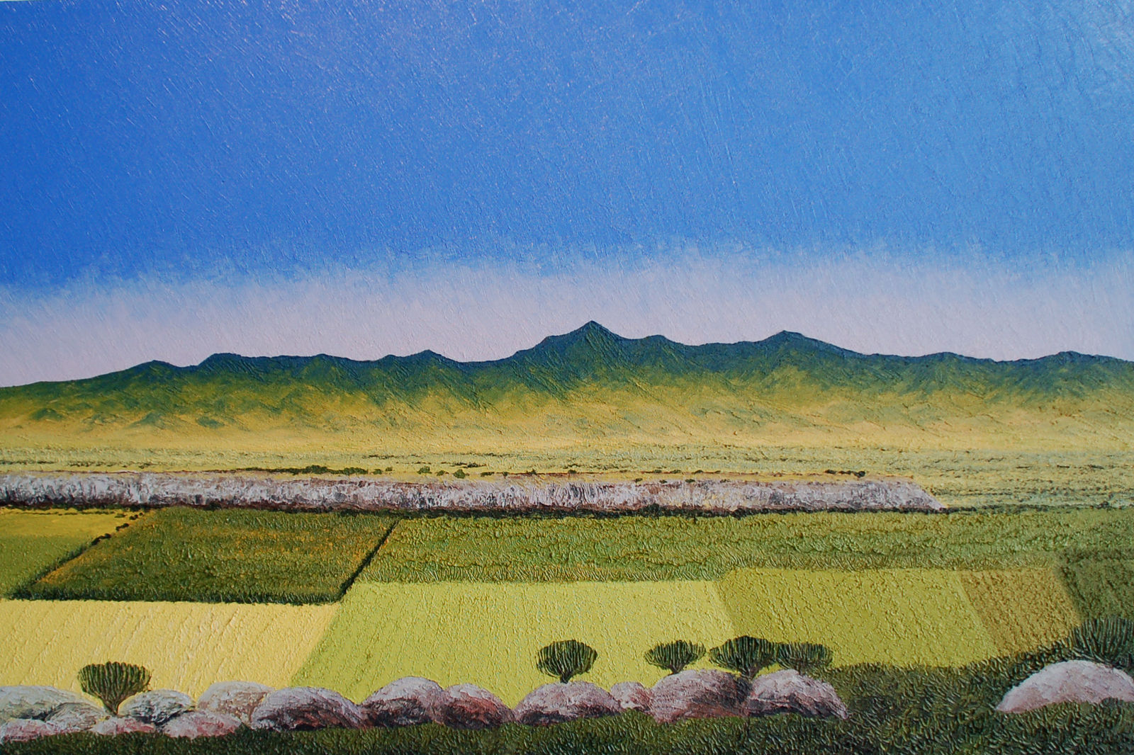 Abelardo Lopez, Valle de Tlacolula, 2015