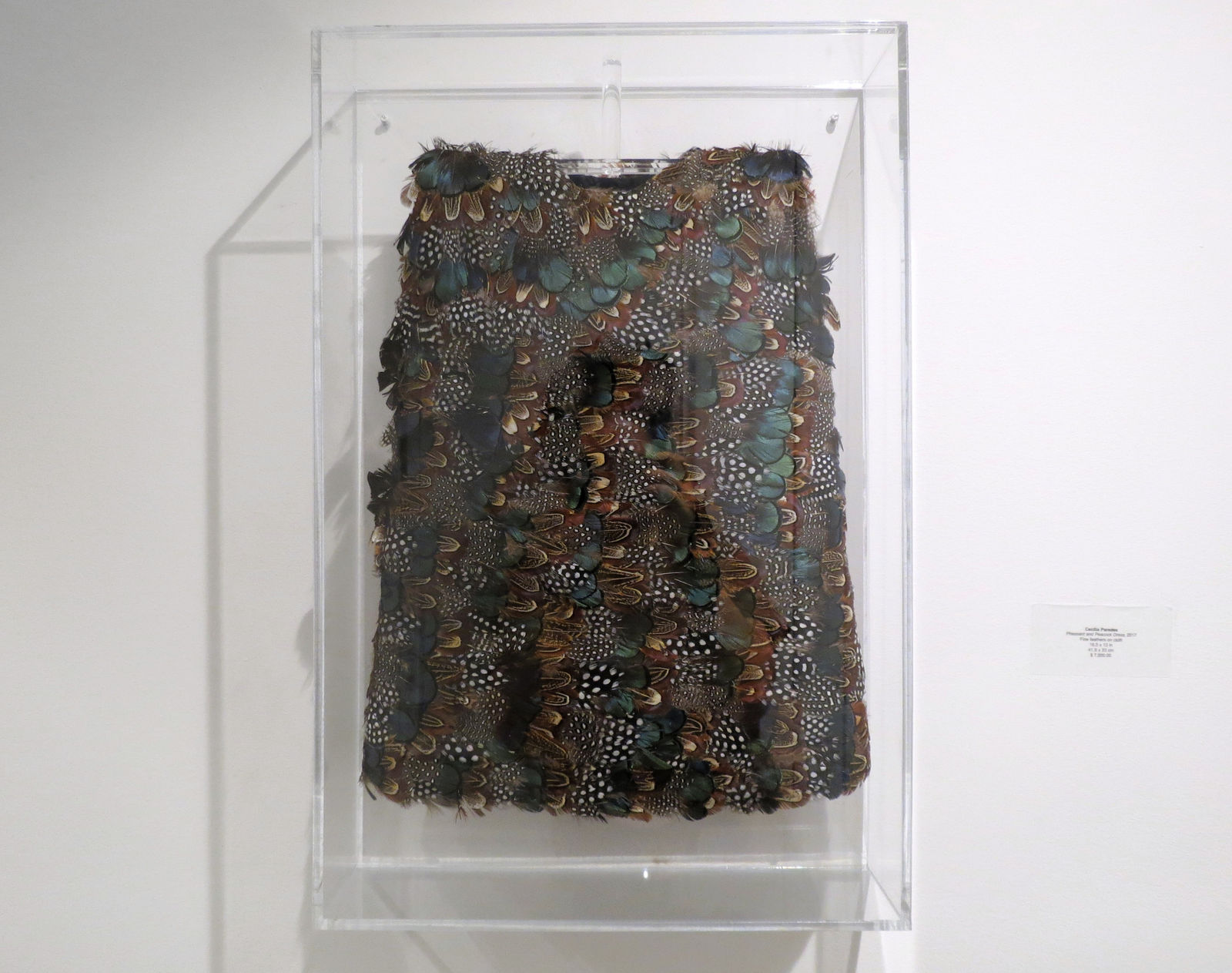 Cecilia Paredes, Pheasant and Peacock Dress, 2017