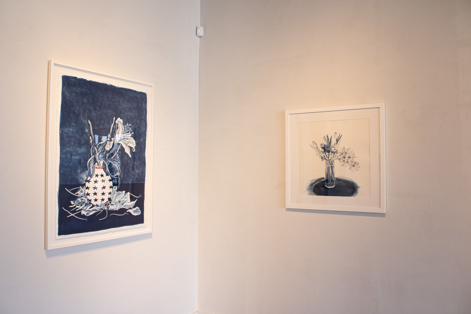 Daniela Oliver de Portillo, Tuve La Fantasia That I Was One of Those Women, 2025