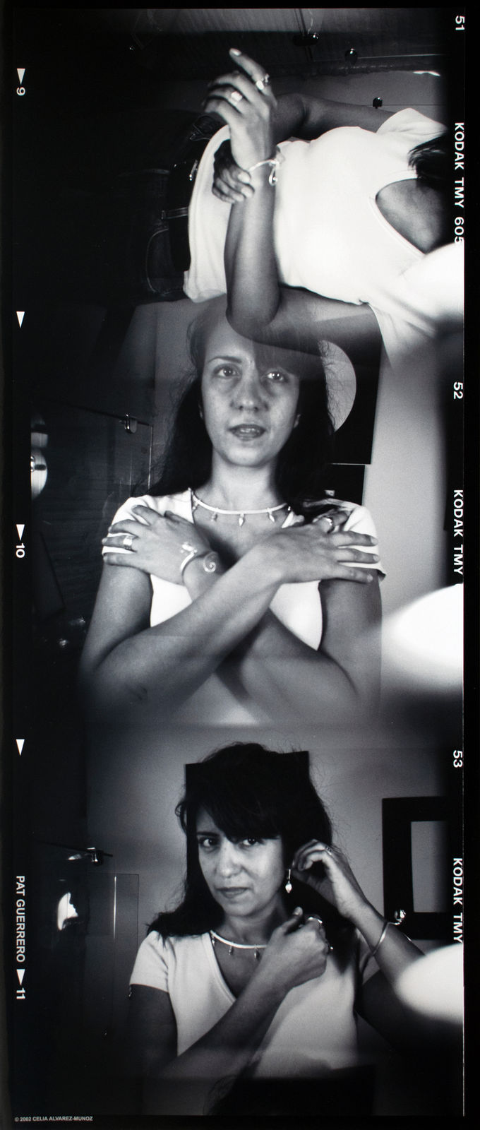 Celia Álvarez Muñoz, Pat Guerrero, Semejantes Personajes/Significant Personages Series, 2002