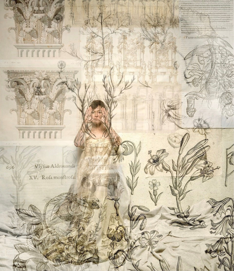 Cecilia Paredes, De Tu Botanica y Descendida Calma, 2022