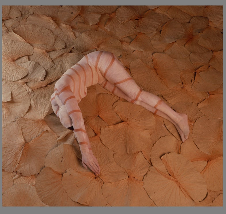 Animal de mi tiempo: Crustaceus