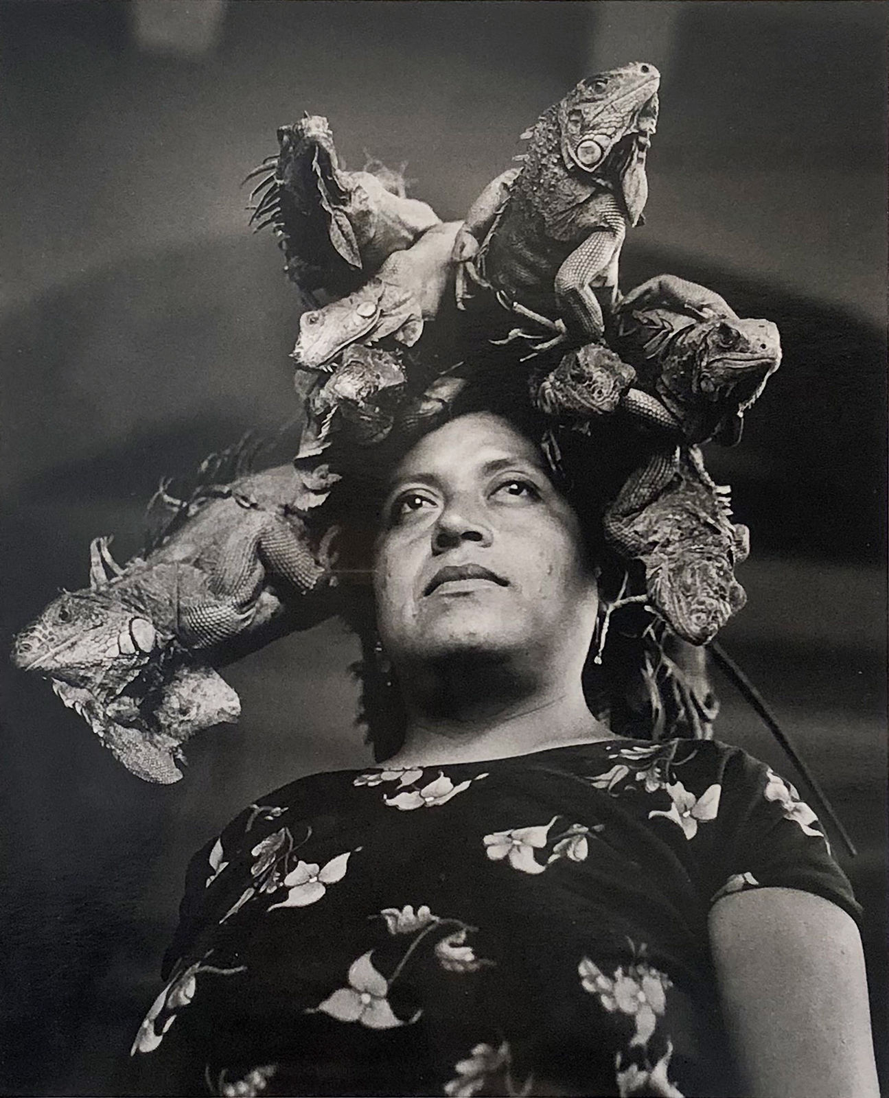 Nuestra Señora de las Iguanas