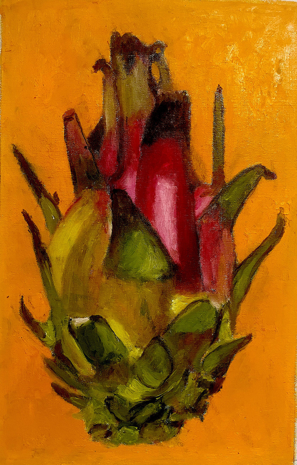 Pedro Diego Alvarado-Rivera, Pitahaya, 2023