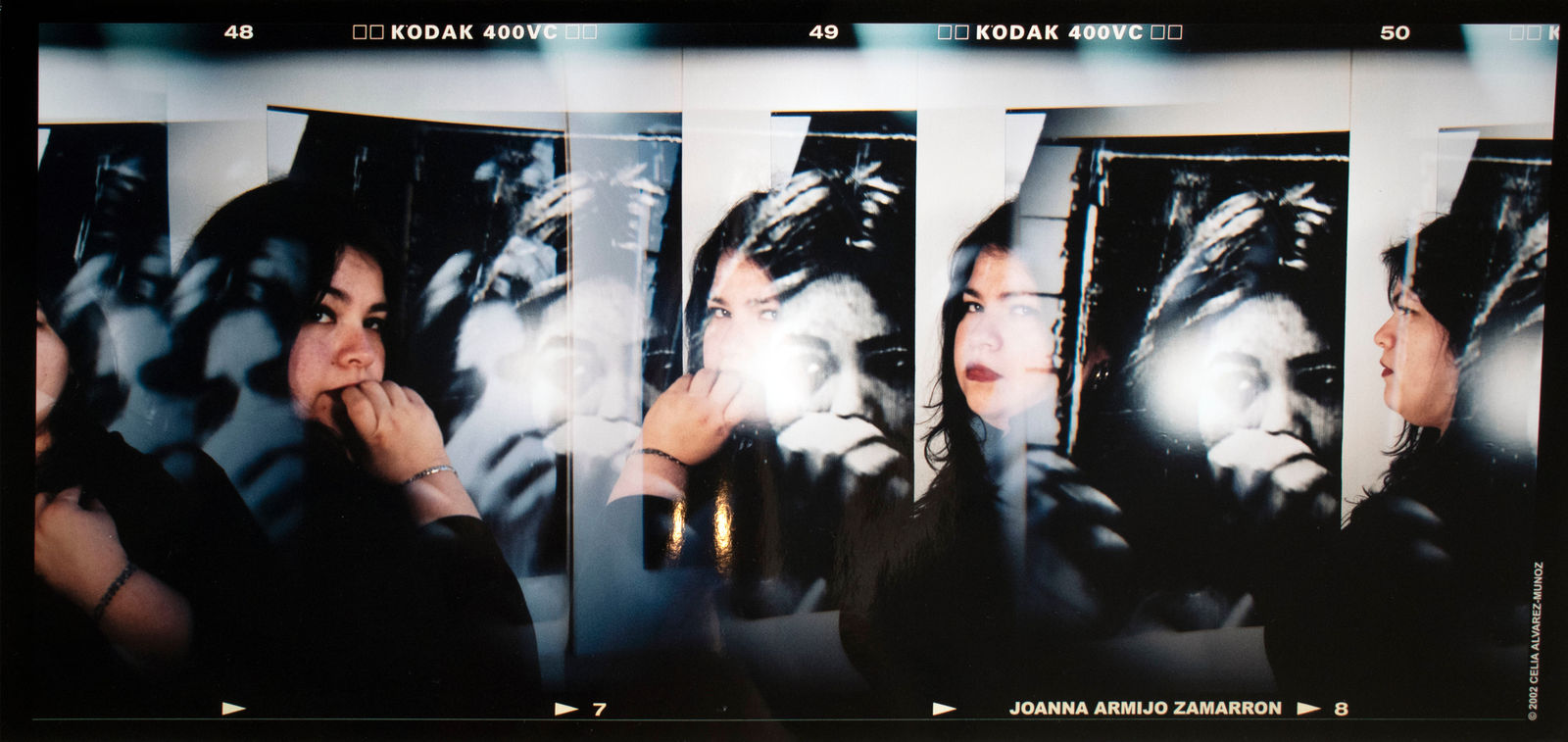 Celia Álvarez Muñoz, Joanna Armijo Zamarron, Semejantes Personajes/Significant Personages Series, 2002