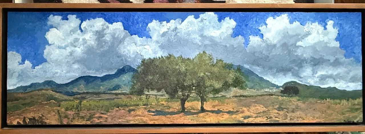 Maria Rosa Astorga, Sombra Azul, 2011