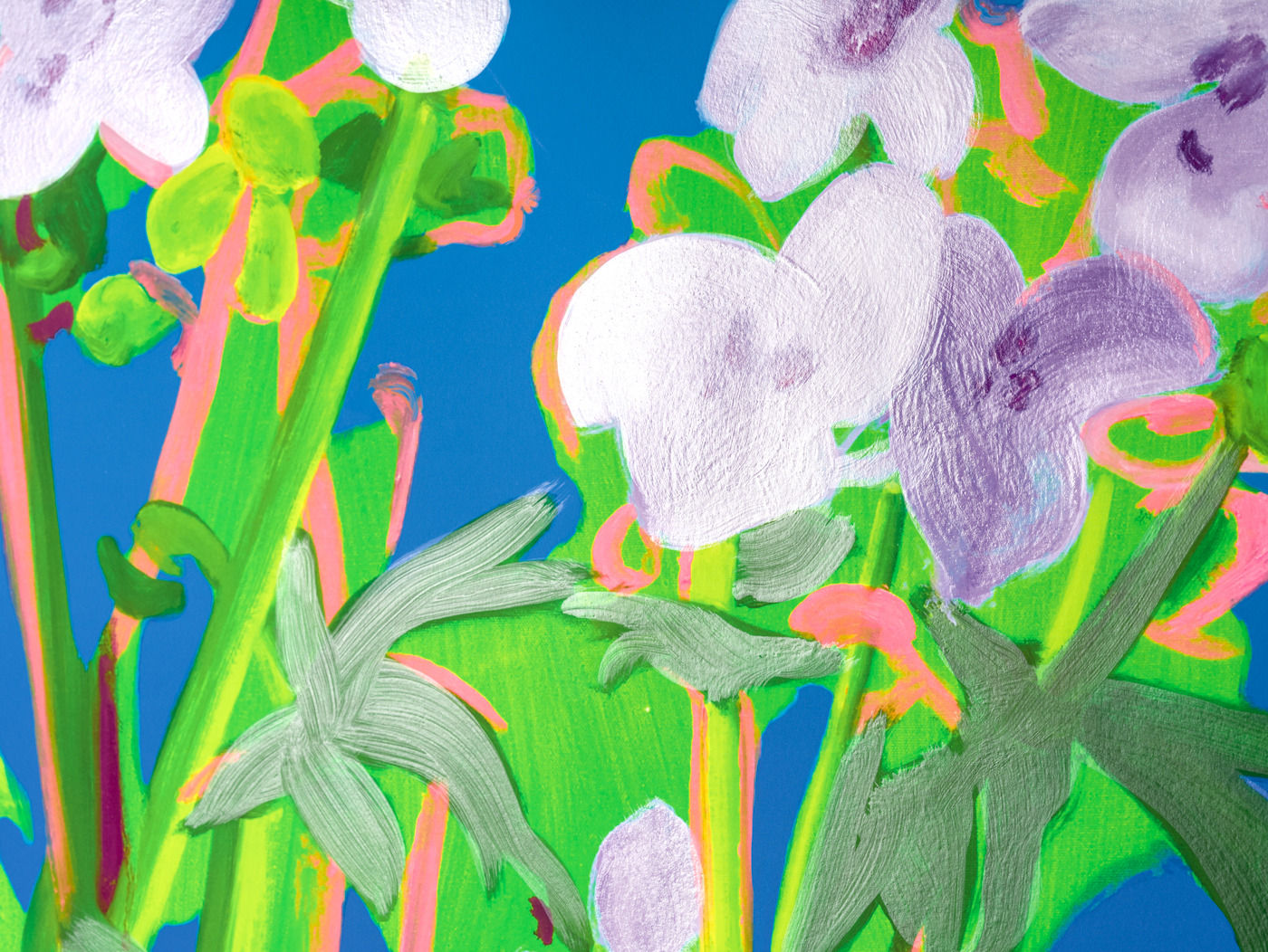 Nicole Wittenberg, Sweet William 1, 2021