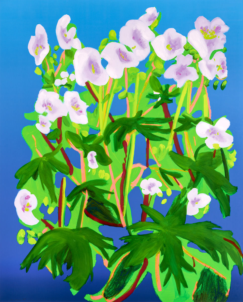 Nicole Wittenberg, Sweet William 1, 2021