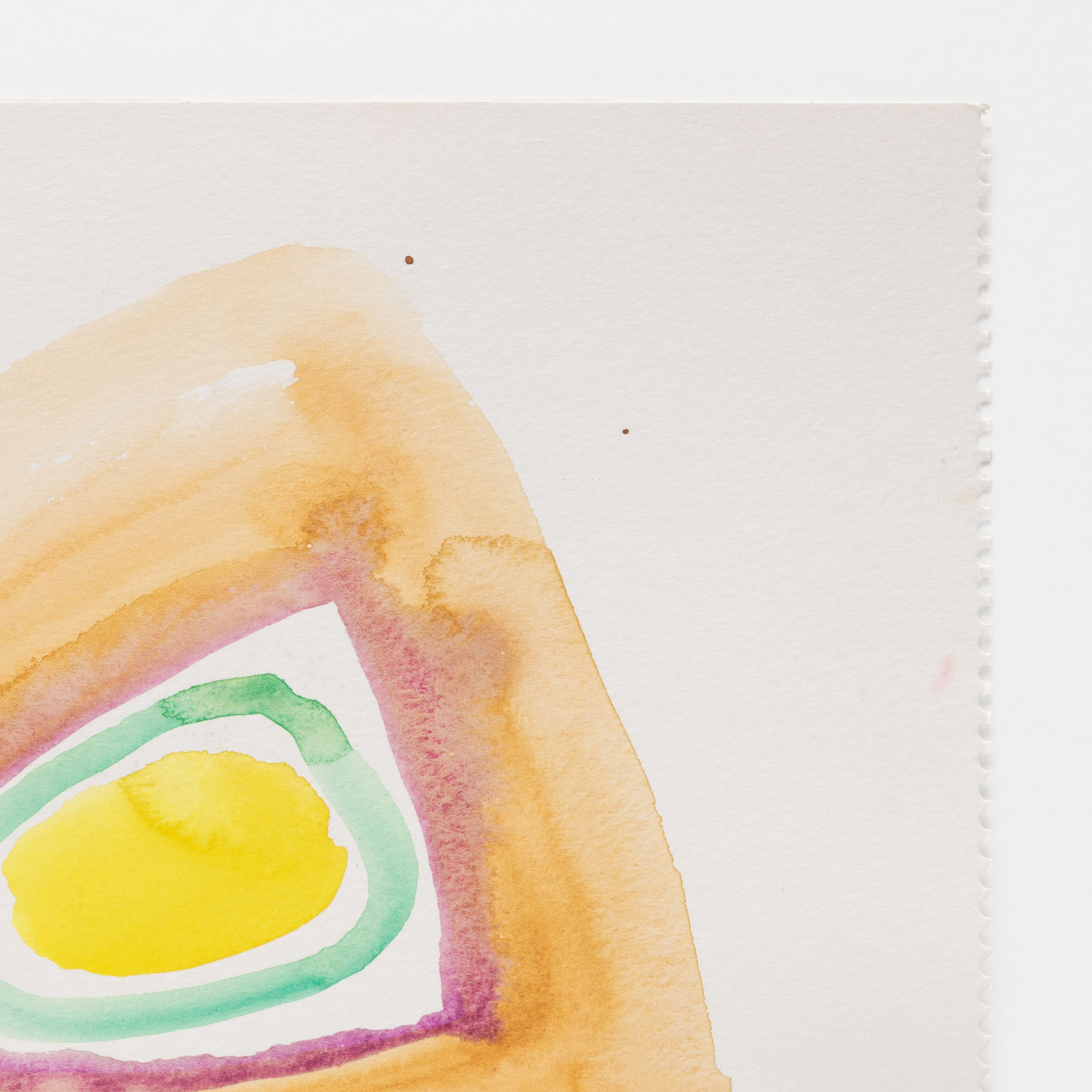 William Perehudoff, WC-88-011, 1988