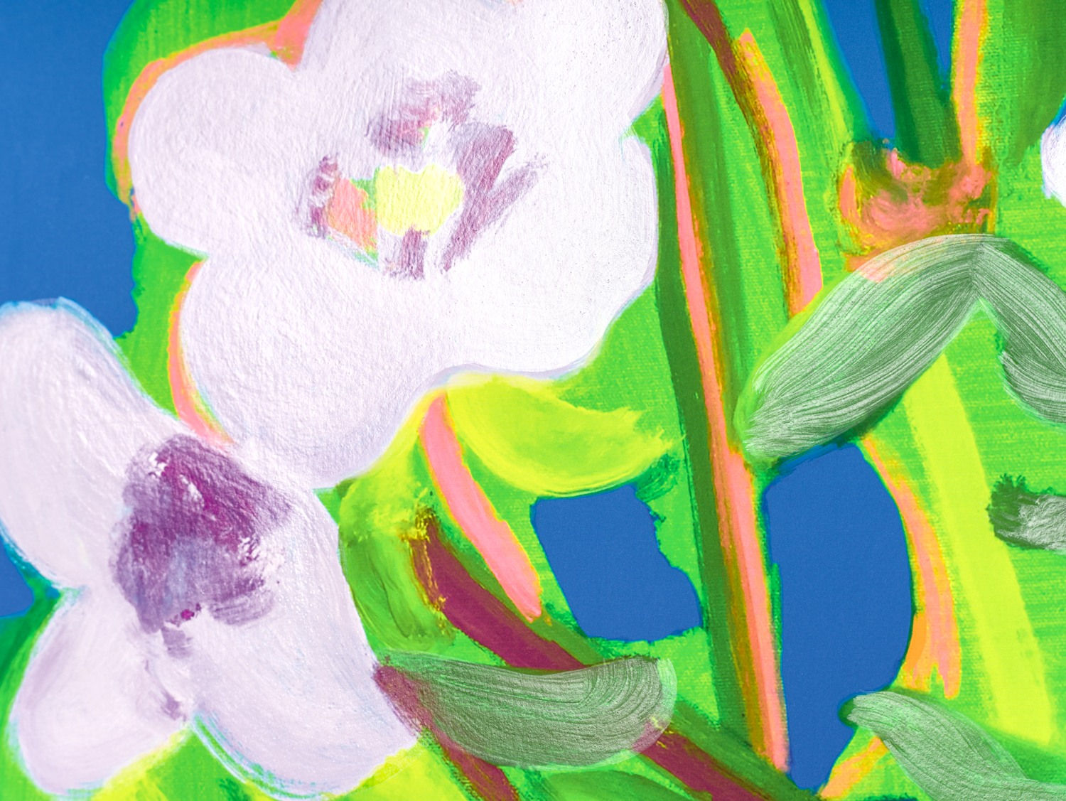 Nicole Wittenberg, Sweet William 1, 2021