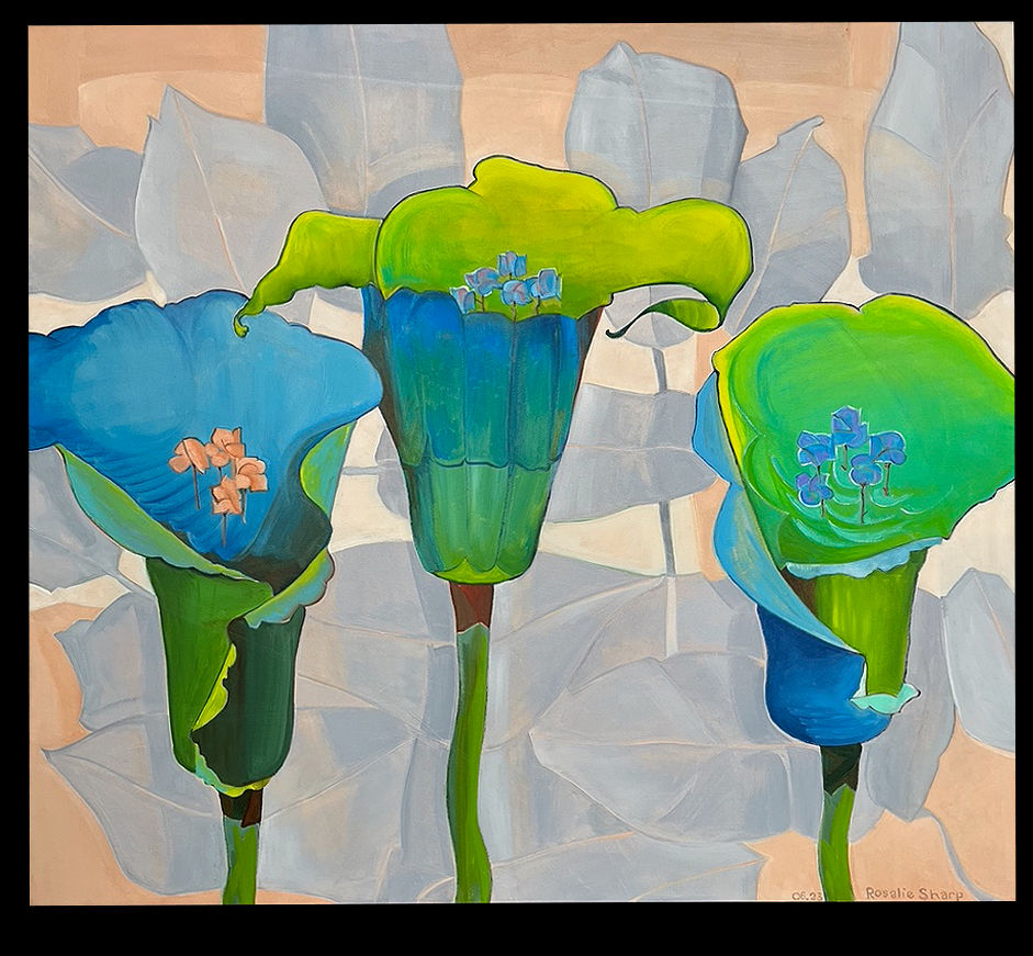 Rosalie Sharp, Tony's Calla Lillies , 2023