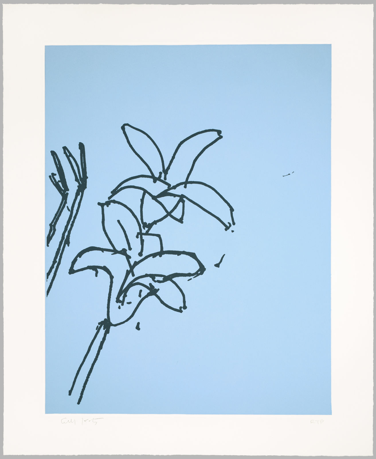 Alex Katz, Lillies 6, 2024