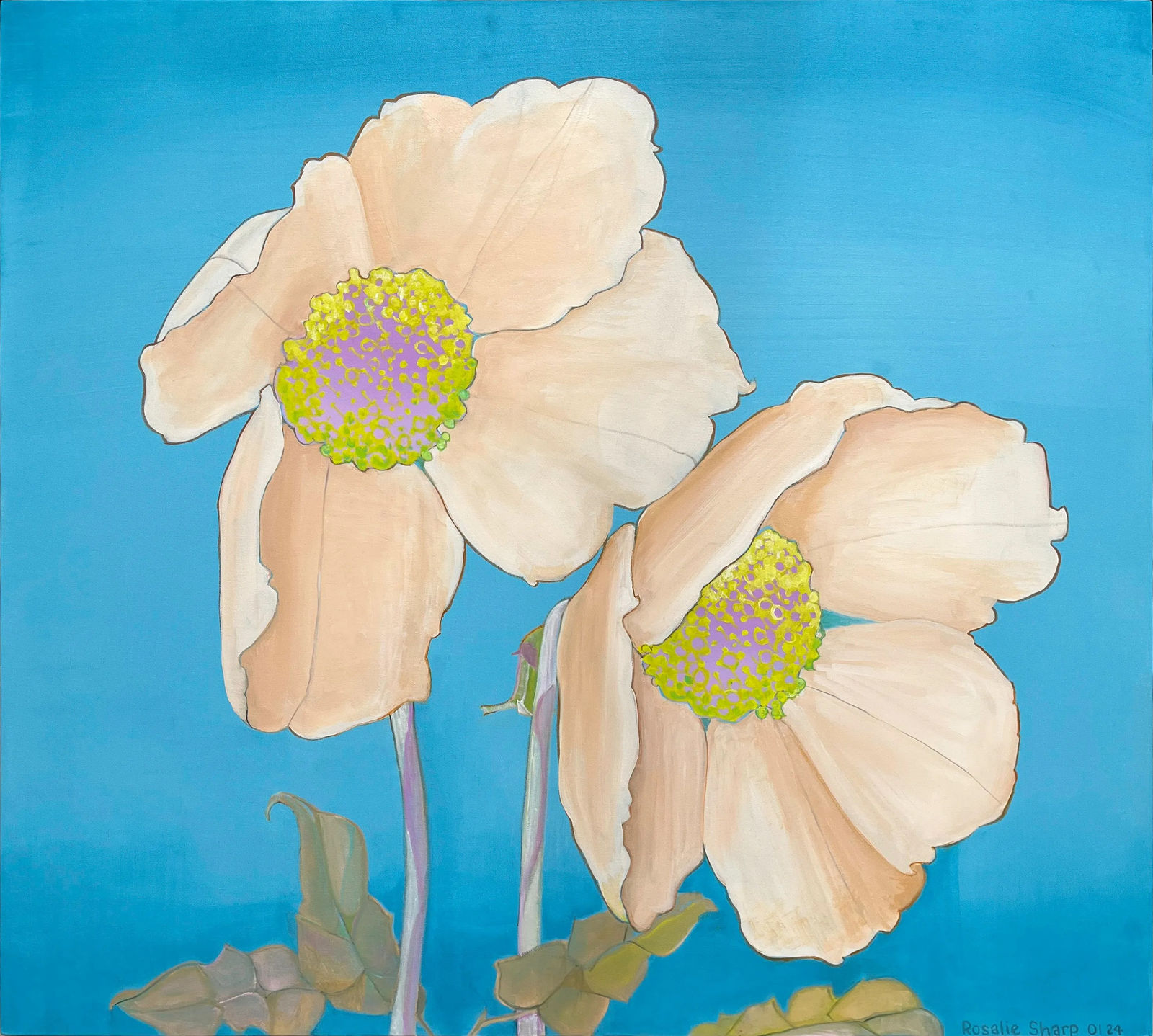 Rosalie Sharp, Favourite Flower has Four Petals, 2024