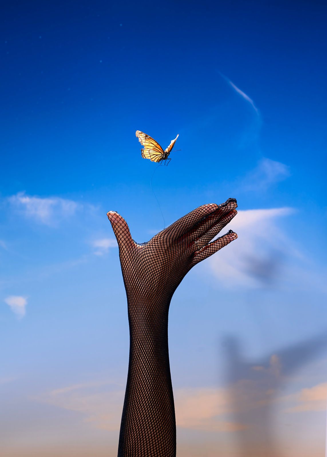 Sage Szkabarnicki-Stuart, Viceroy, 2023