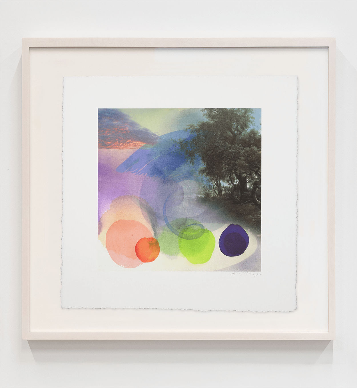 William Tillyer, Hambleton, 2019