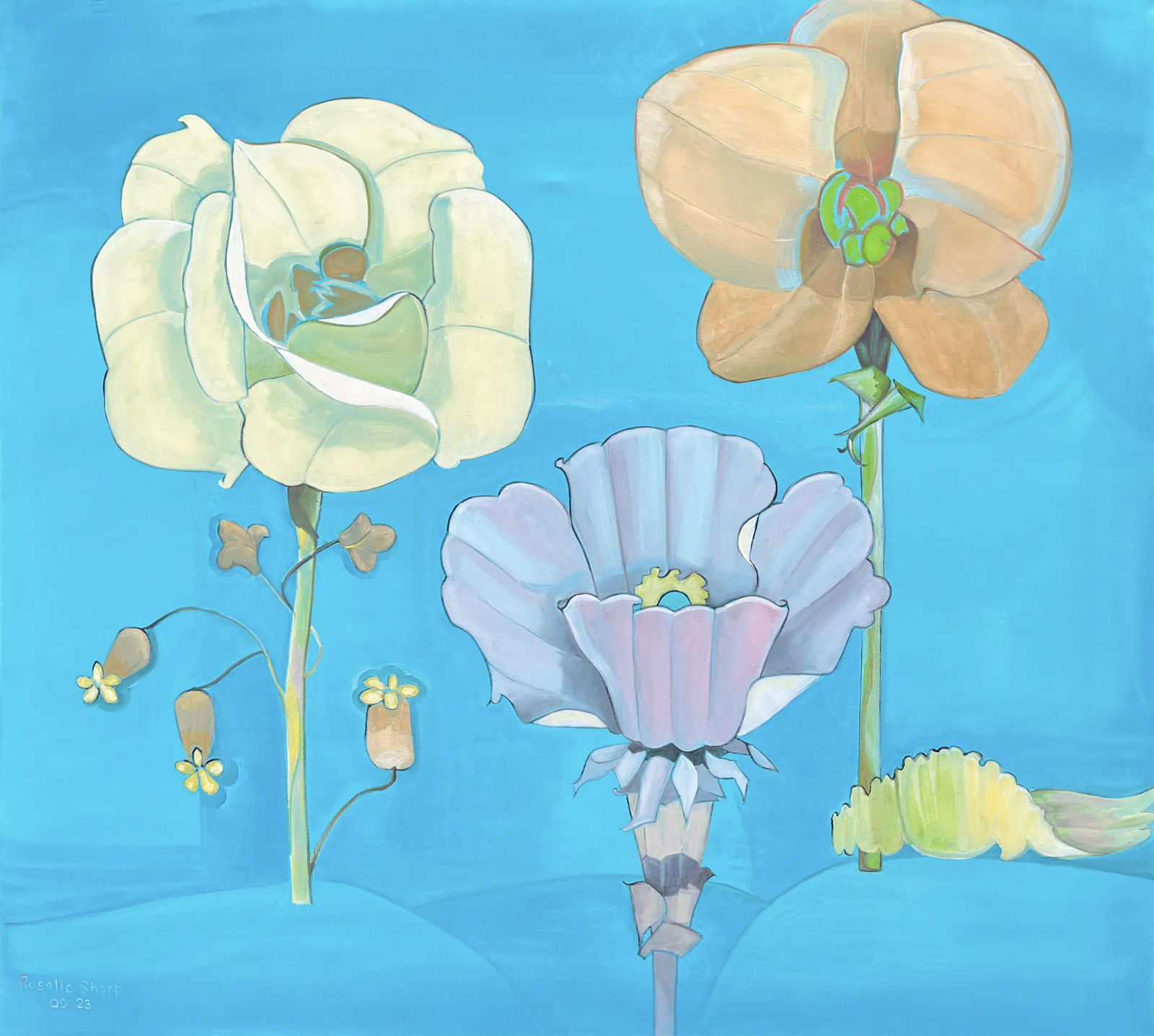 Rosalie Sharp, Triumvirate Series #4, 2023