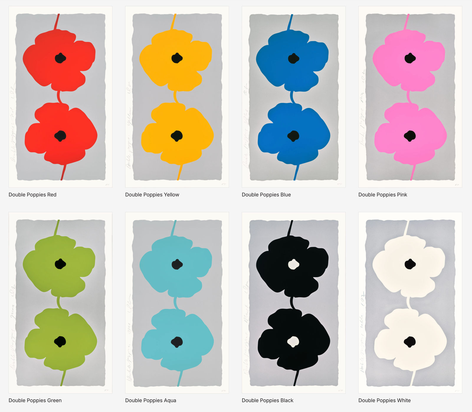 Donald Sultan, White Double Poppies, 2025