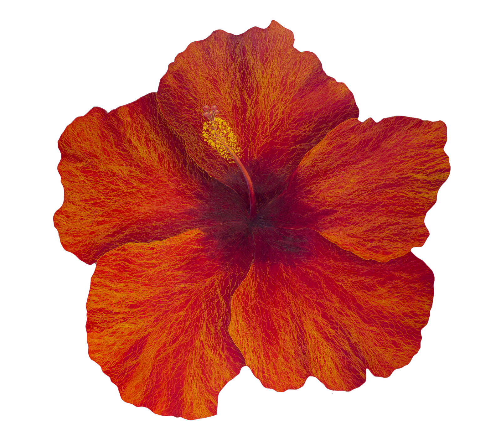 鄭麗雲 Leigh Wen, 朱槿 IX Hibiscus IX, 2022