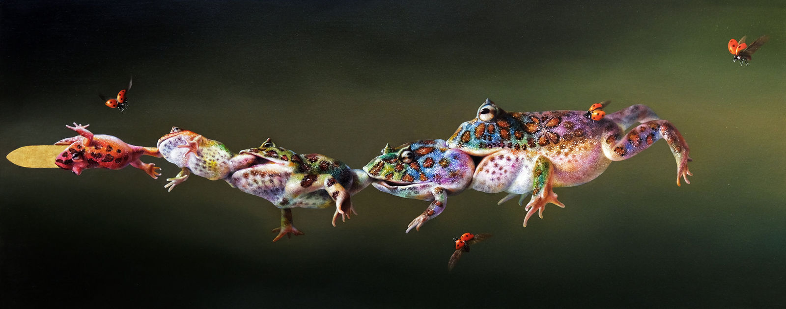 朱書麒 Shu Chi Chu, 2025