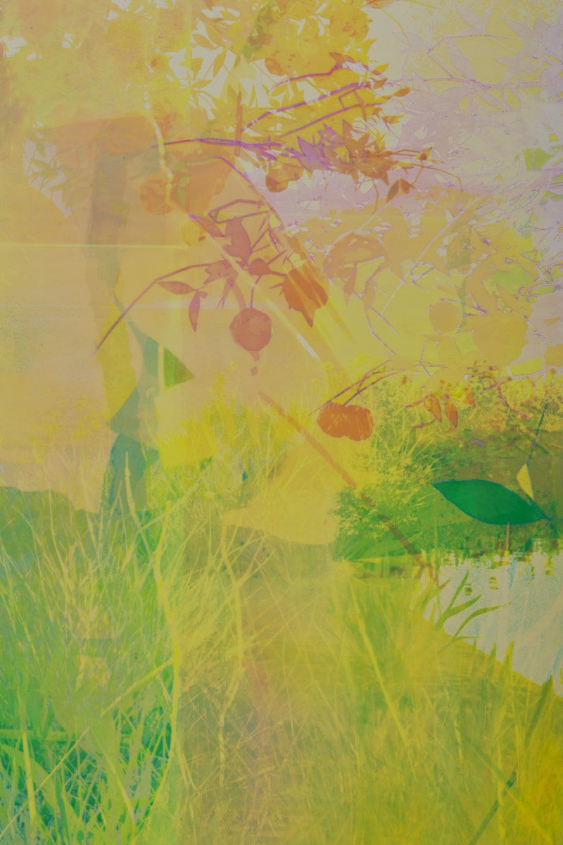 Zoe Walsh, In our eyes, on our tongues, 2023