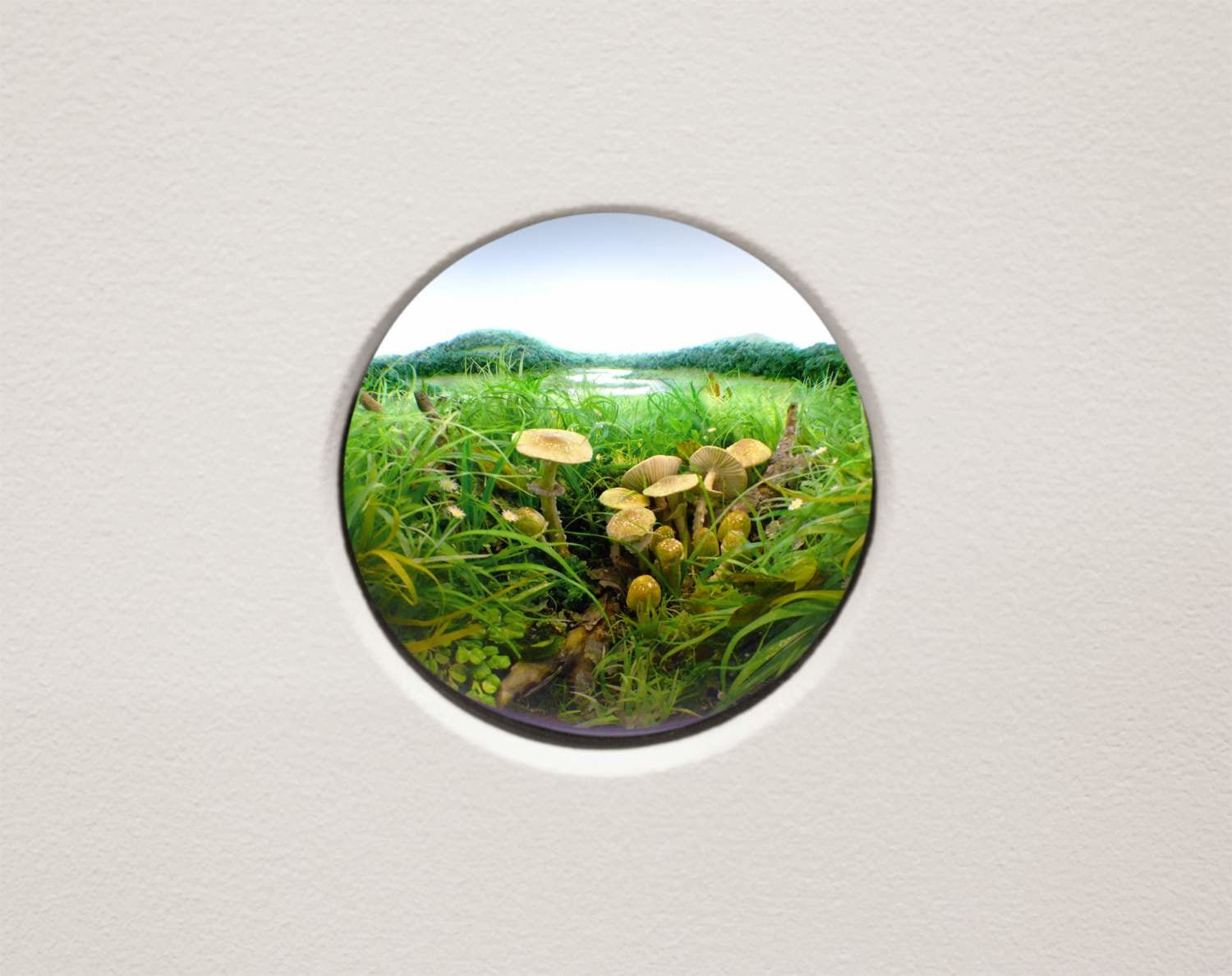 Patrick Jacobs, Gold cap cluster