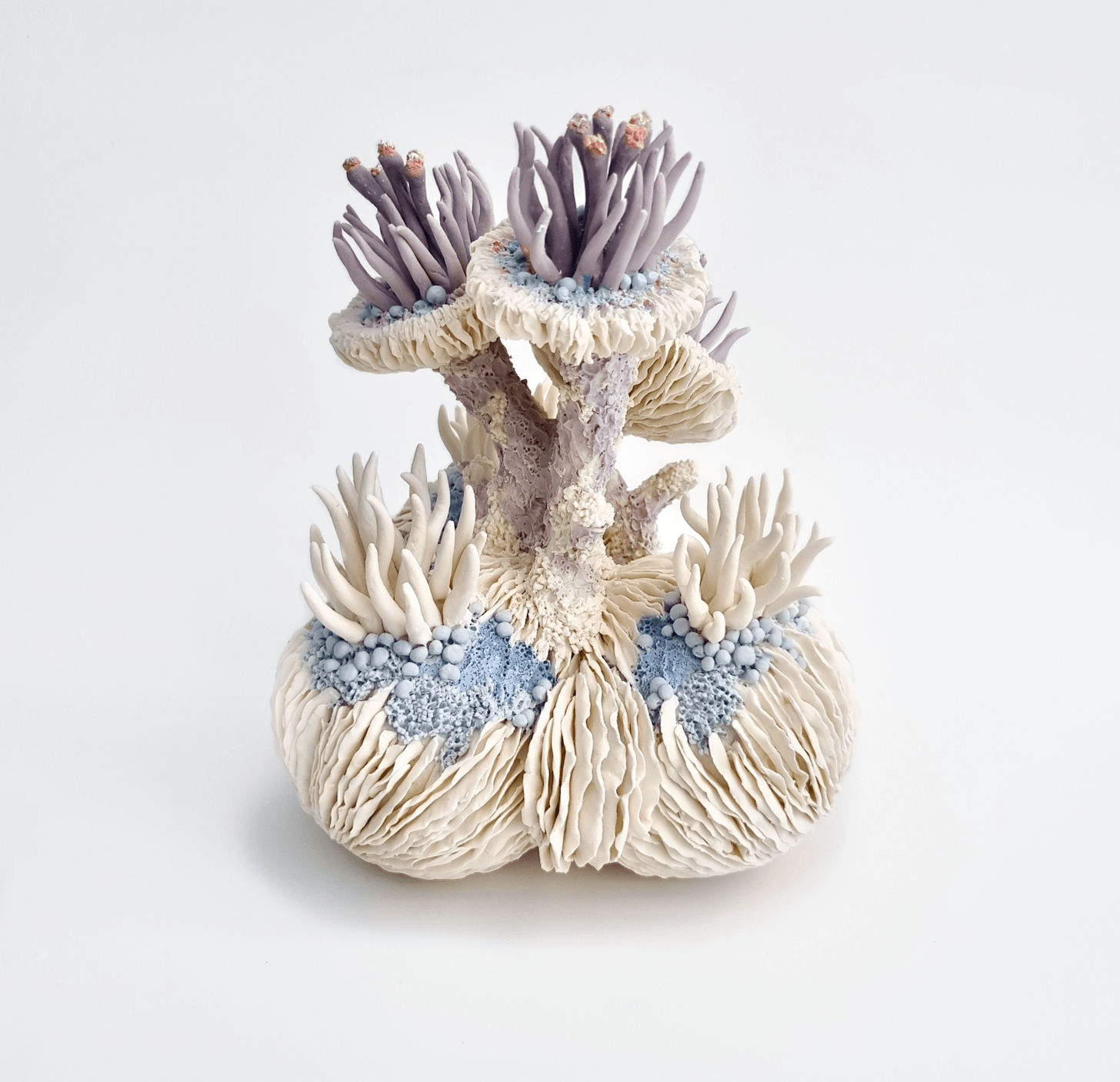 Erum Aamir, Libido, 2024