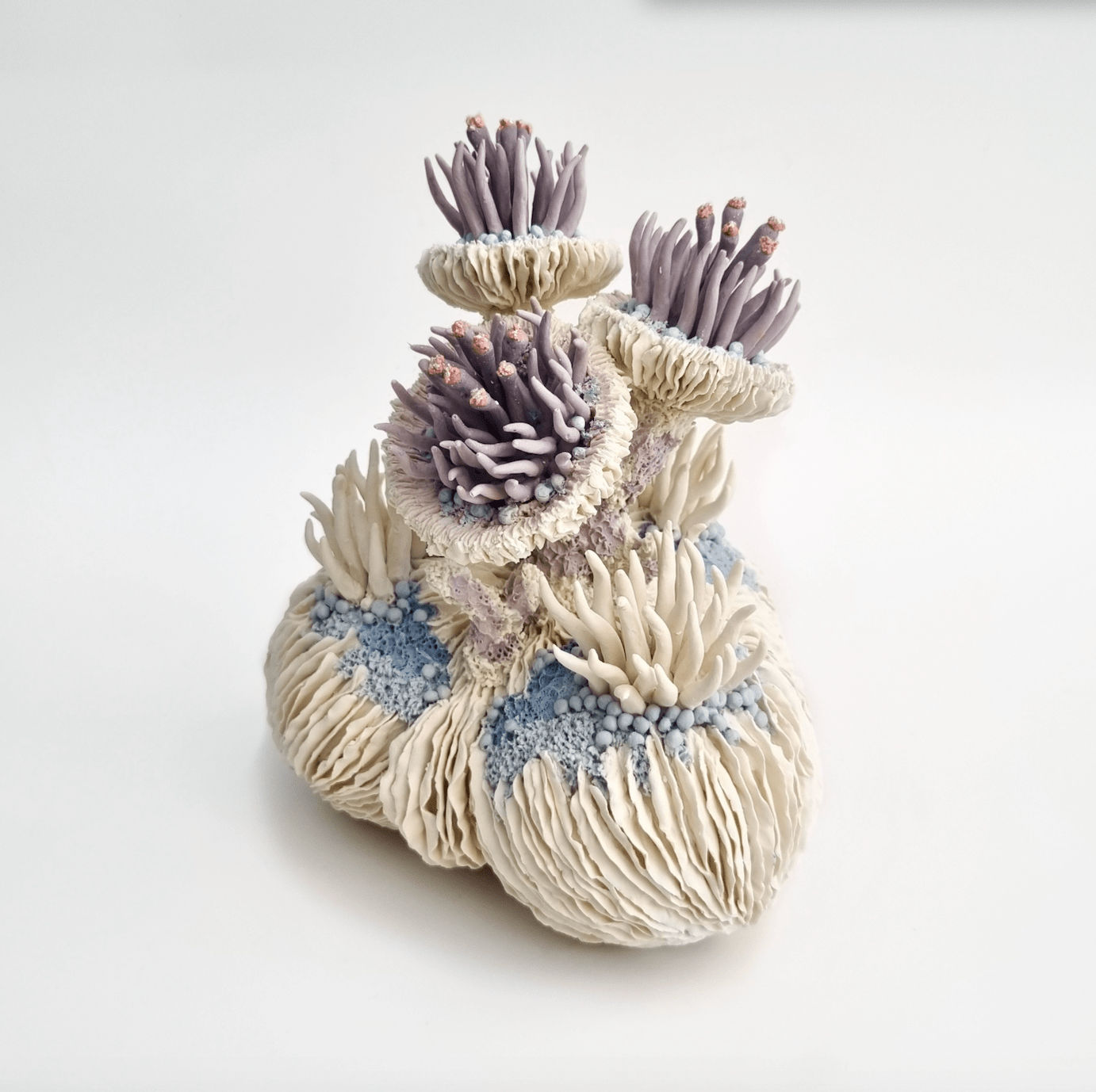 Erum Aamir, Libido, 2024