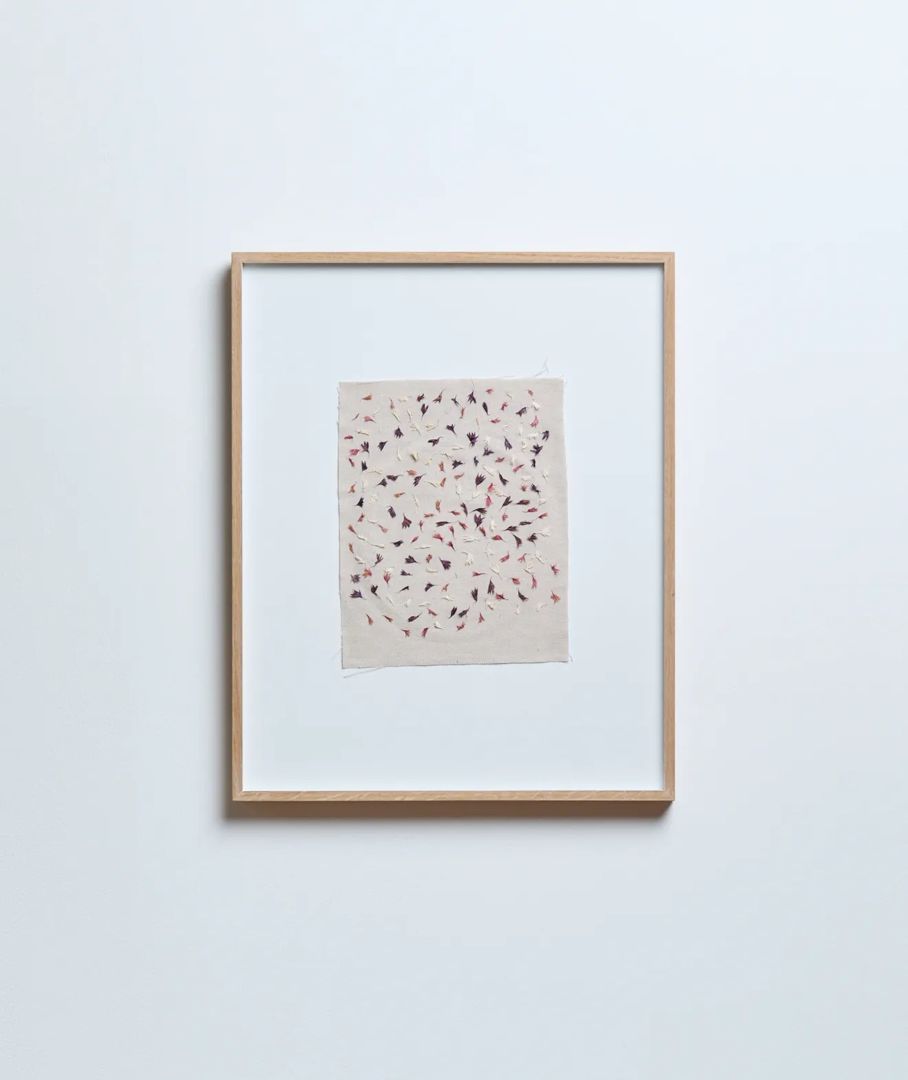 Katerina Knight, Evening Sun, Petal Stars, 2025