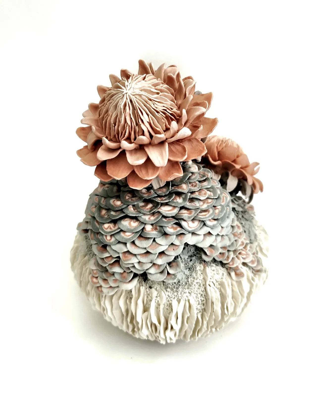 Erum Aamir, Cor Fractum, 2024