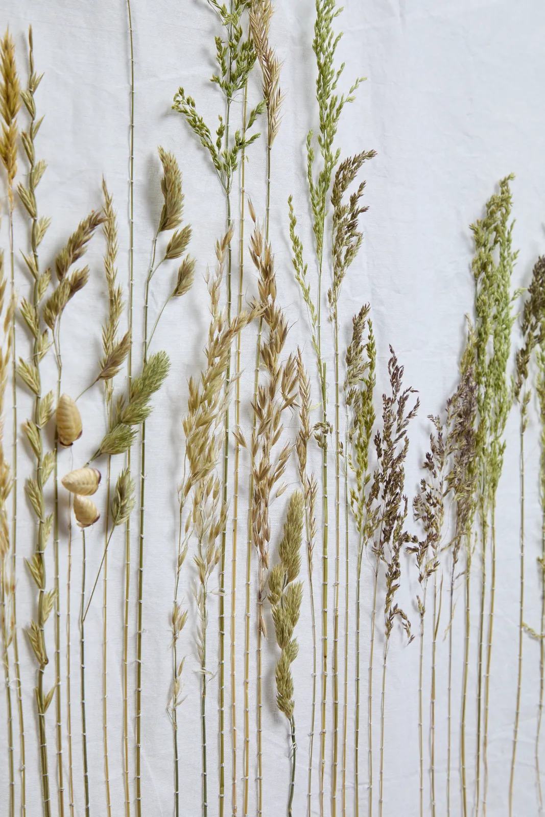 Katerina Knight, Lay With Me in the Long Grass, 2025