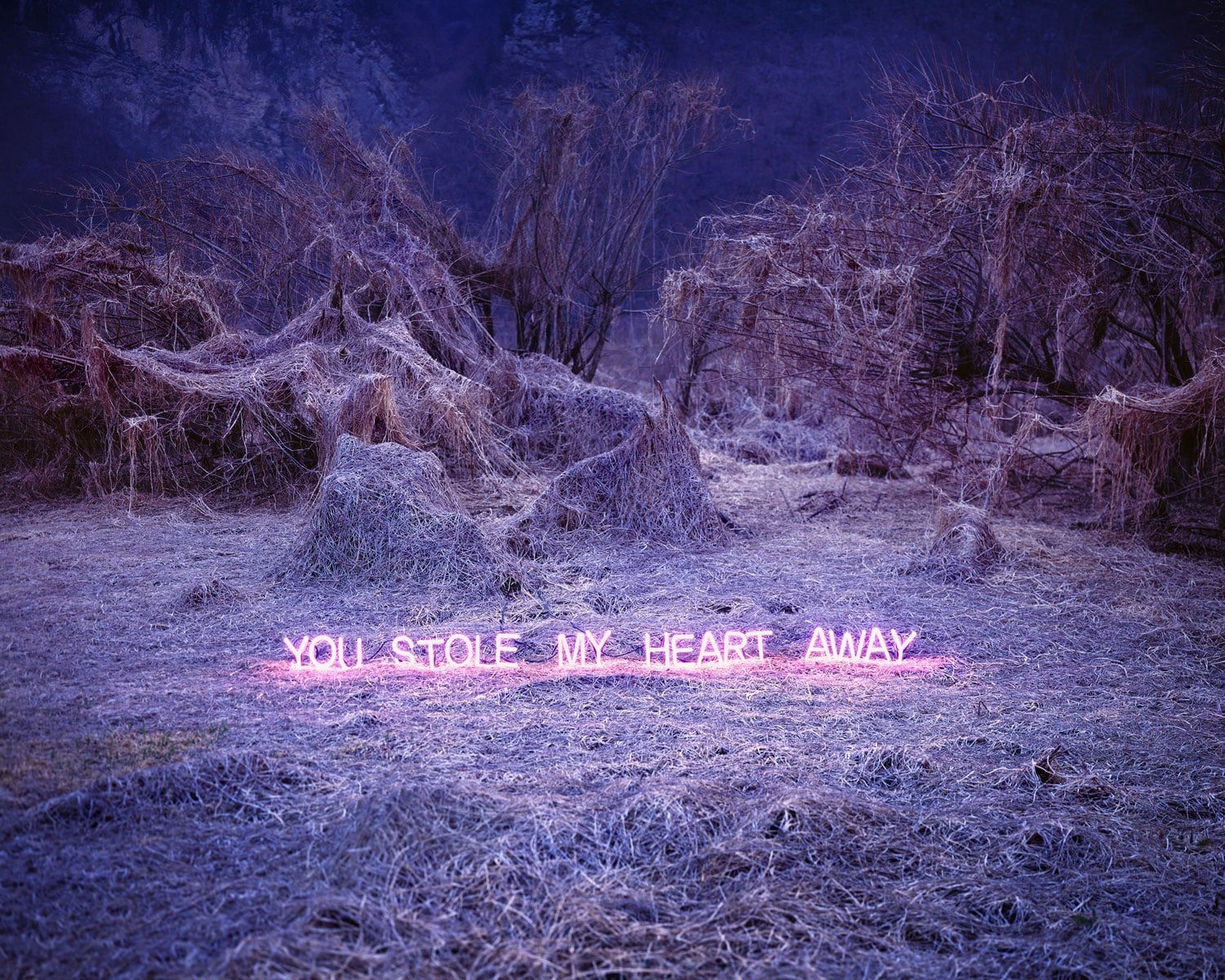 Jung Lee, You Stole My Heart Away (From the Series of 'Aporia'), 2017