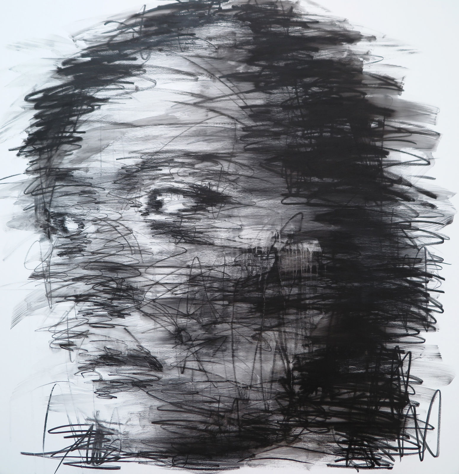 Hom Nguyen, Untitled #8 (Racines), 2019