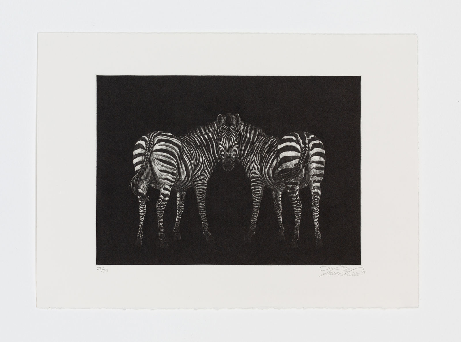 Trevor Foster, One head is better than two, 2018