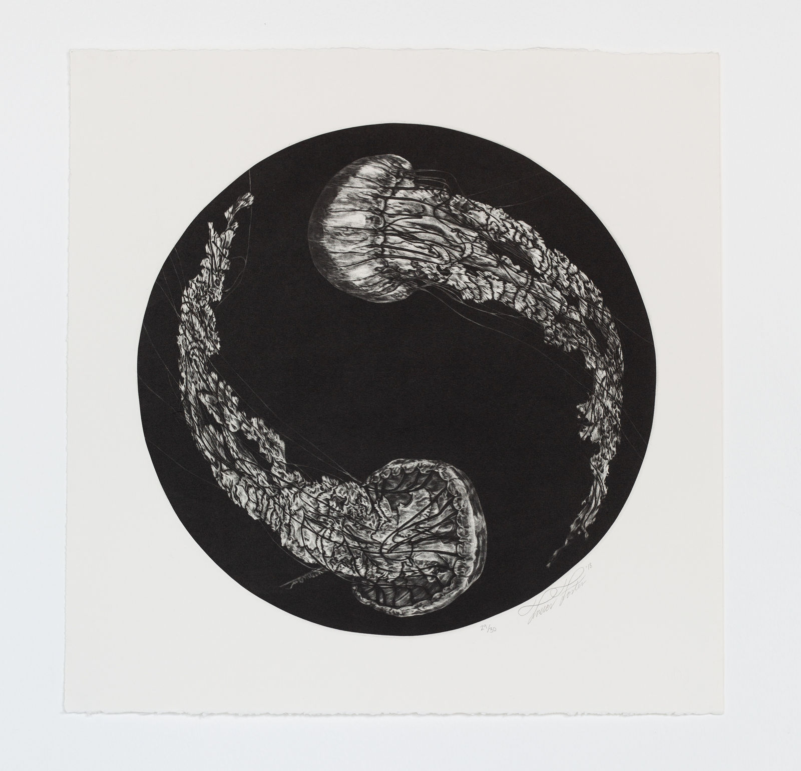Trevor Foster, Ying Yang, 2018