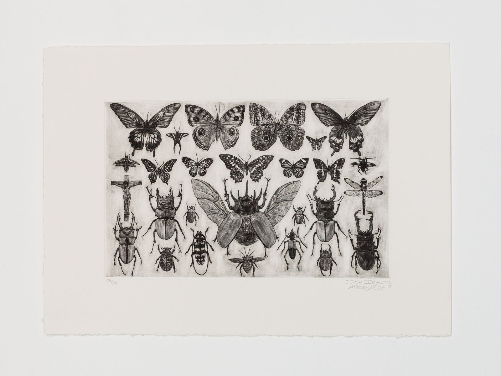 Trevor Foster, Thesis, Antithesis, Synthesis, 2018