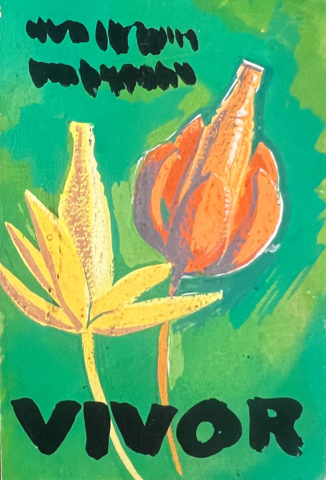 Salah Abdel Kerim, Vivor Green