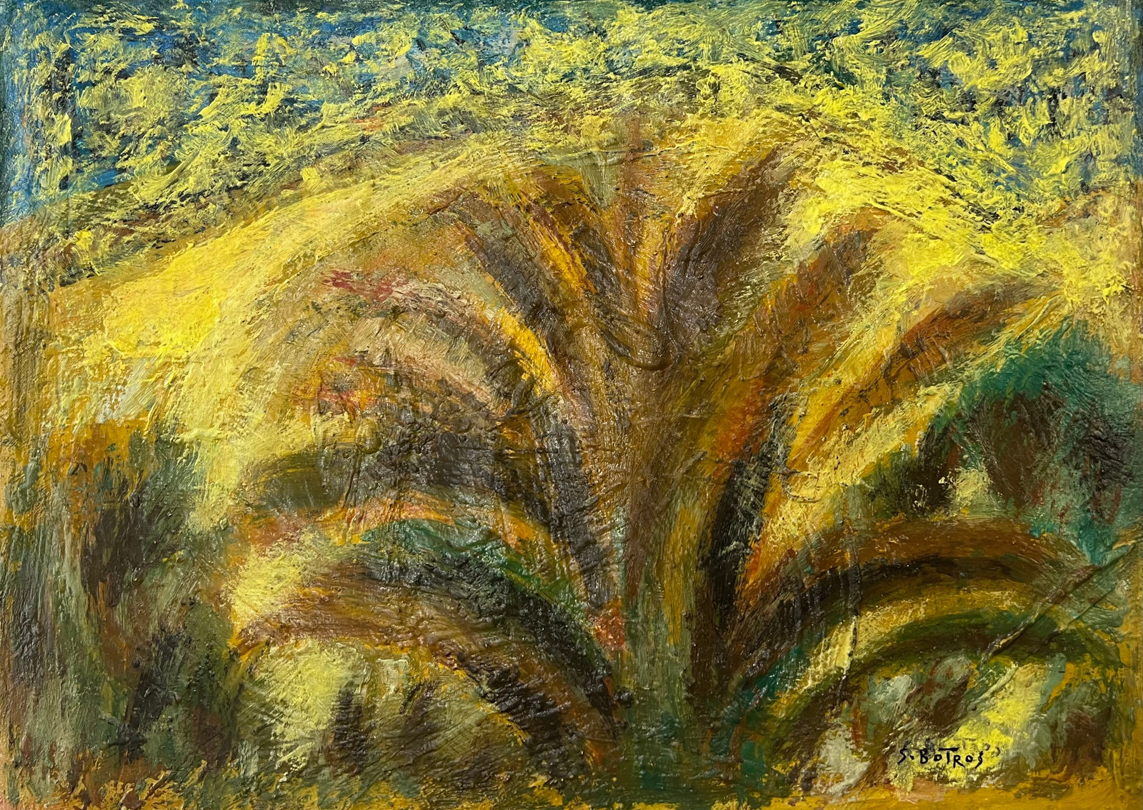 Salah Boutros, Palm, 2018