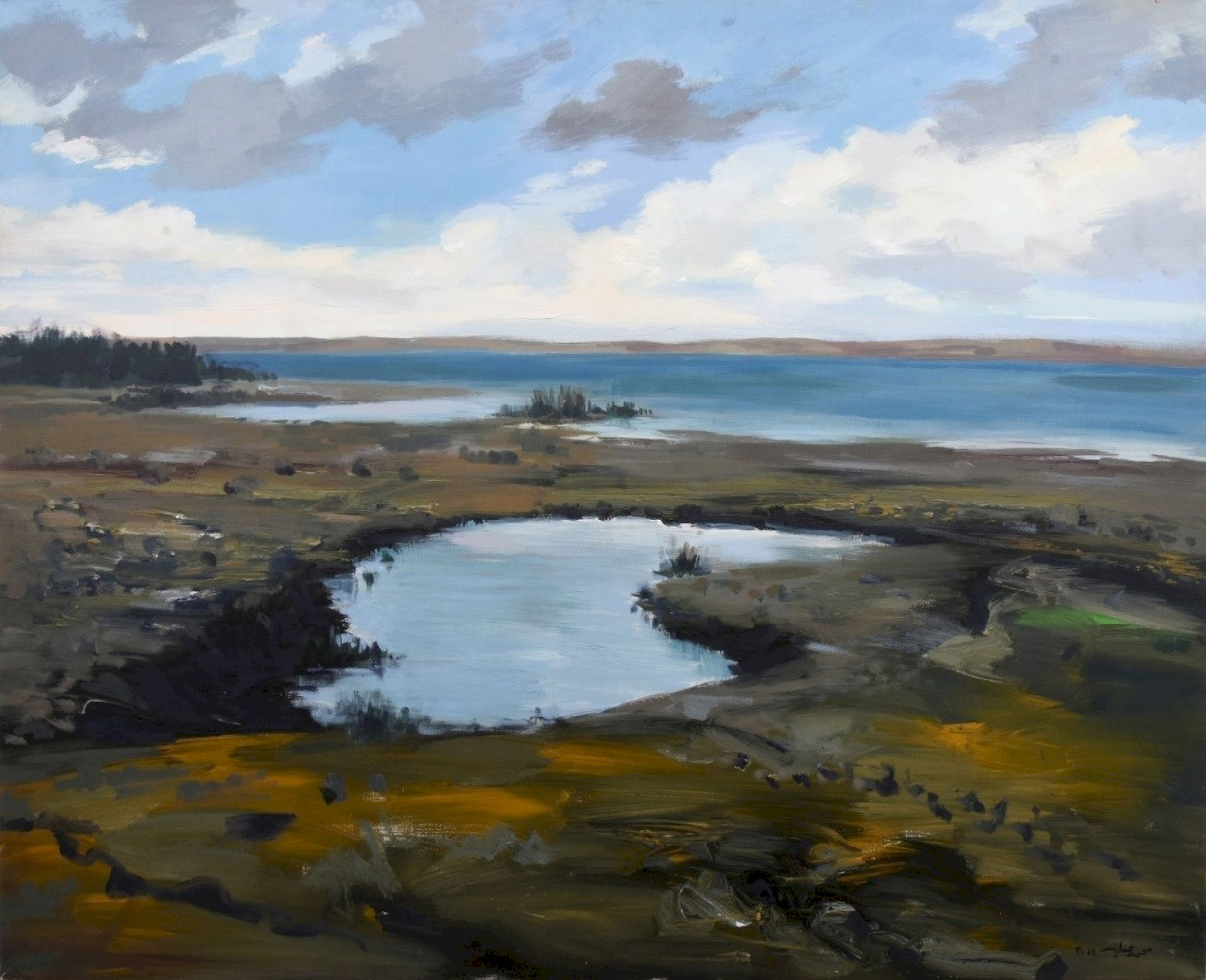 Mohamed Abla, Fayoum Lake II, 2011