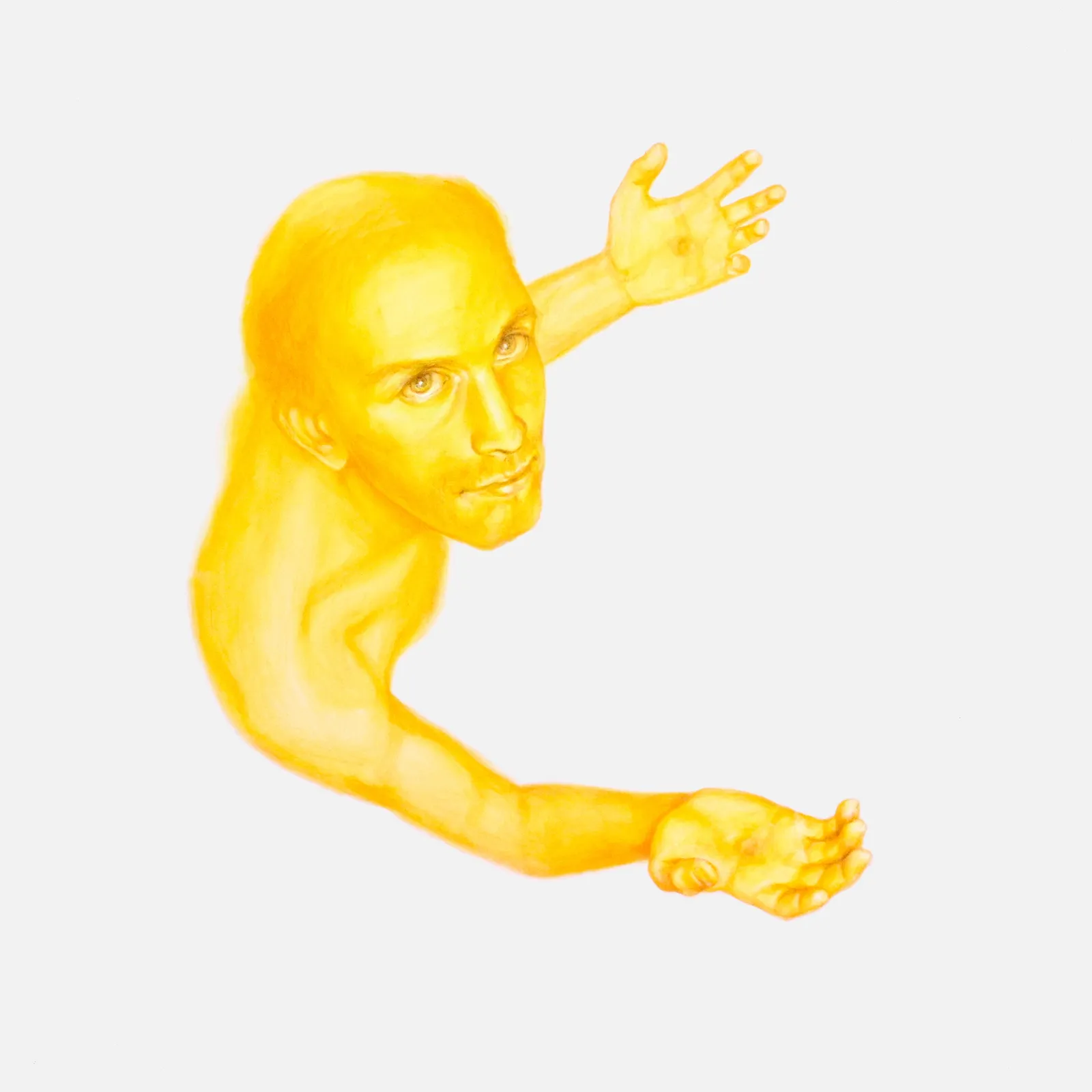 Dorota Sadovská, Saint Francis of Assisi, 2025