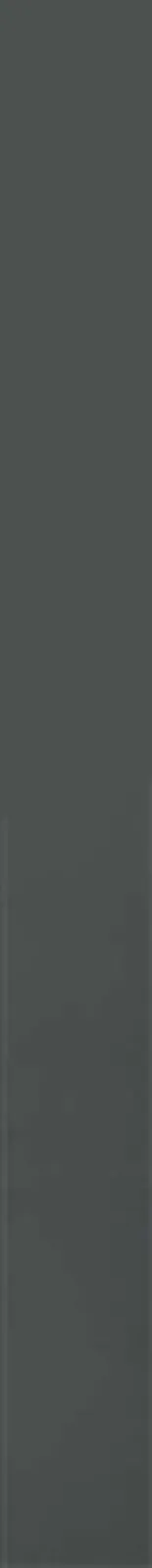 Alan CHARLTON, Vertical Band Painting, 1989