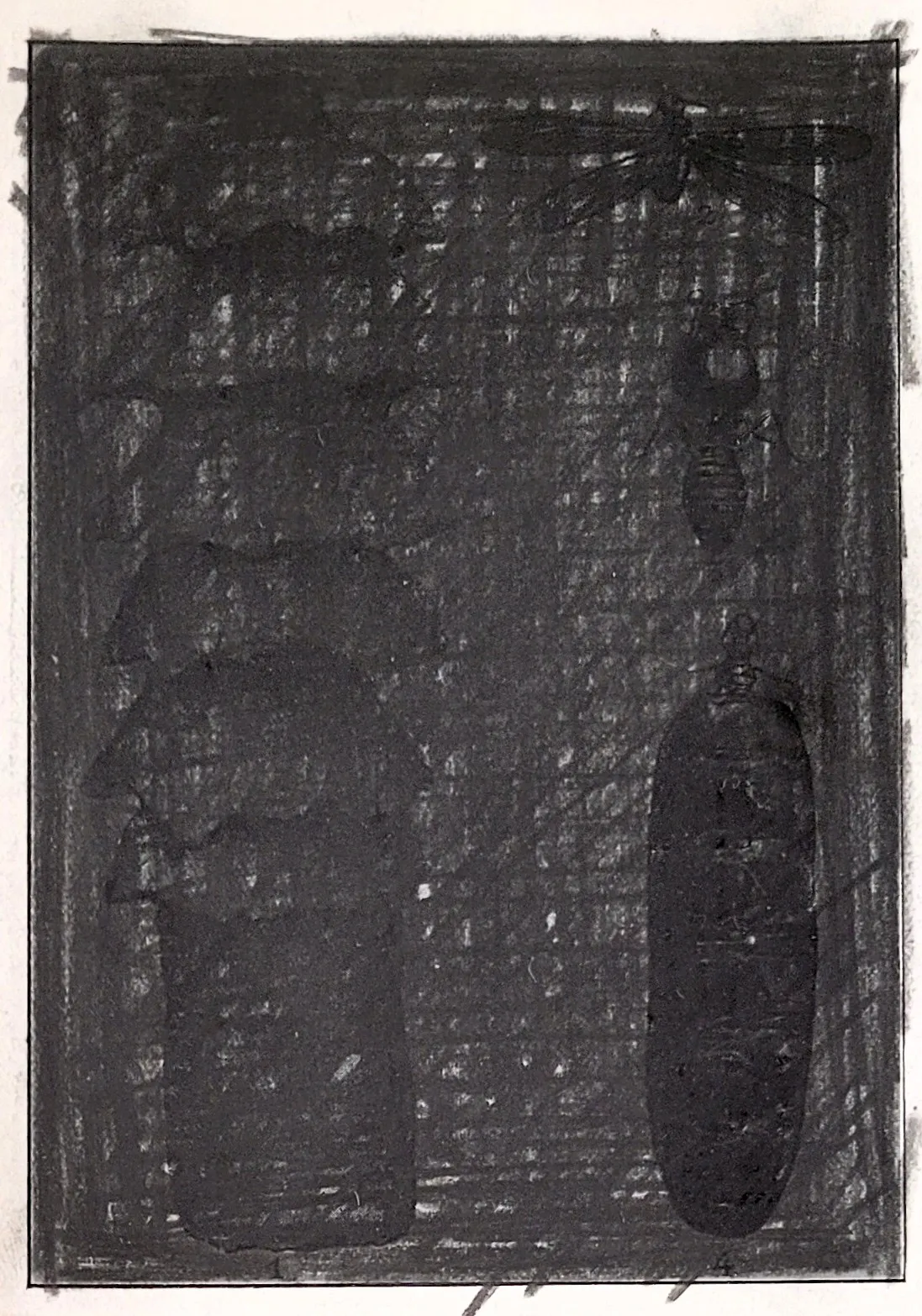 Jan FABRE, Insectensculpturen & ervaringen, 1979