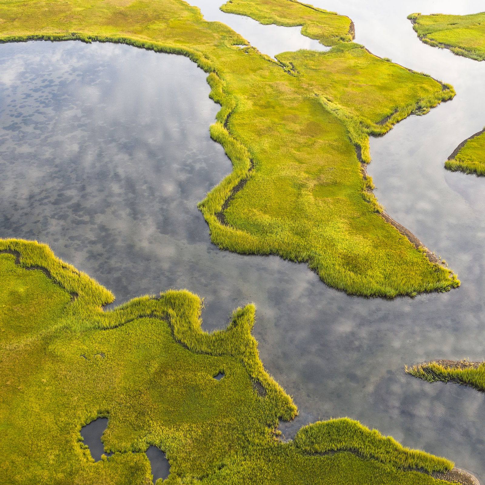 Kit Noble, Another Planet, 2021