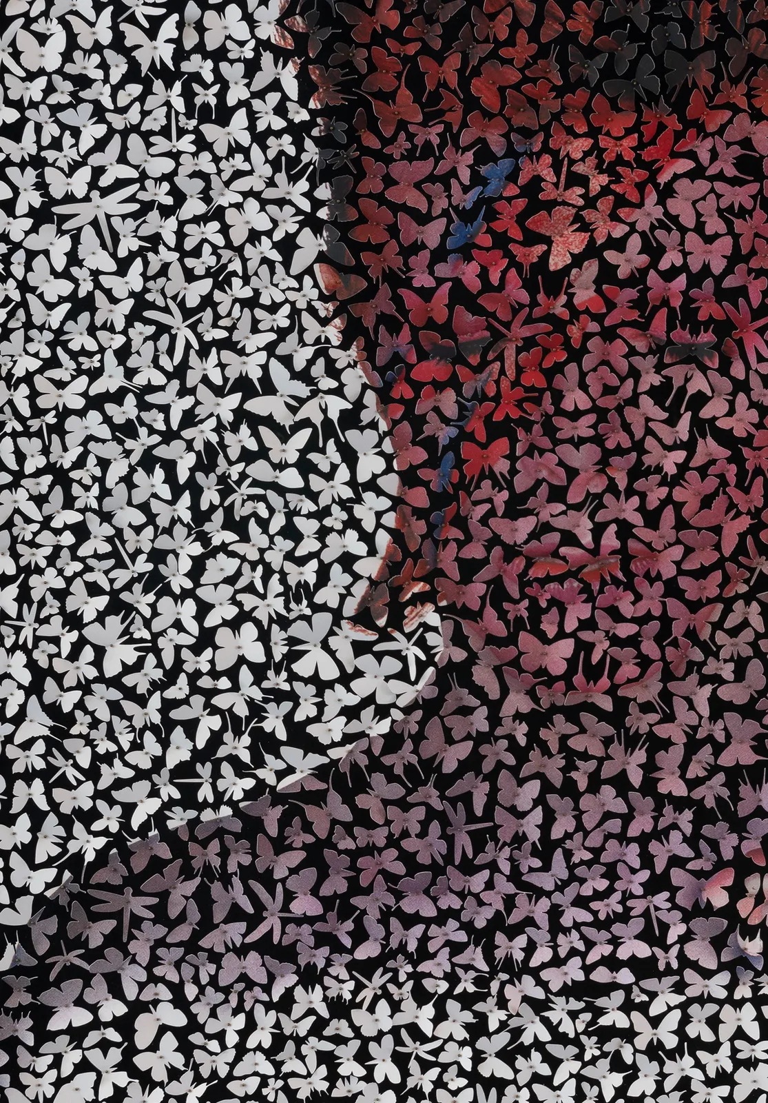 Charles Patrick, Aladdin Sane, 2023