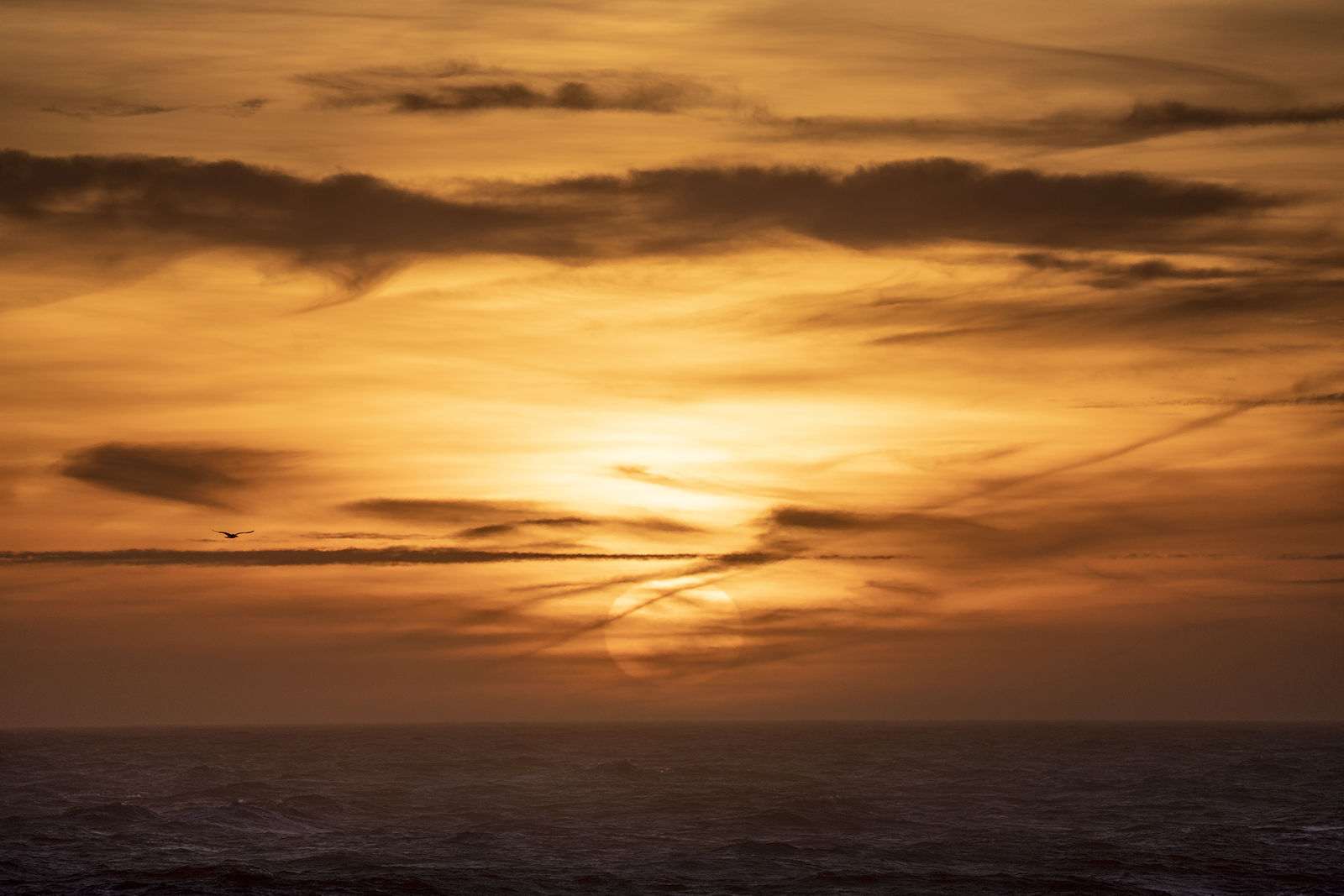 Kit Noble, Sunscreen, 2025