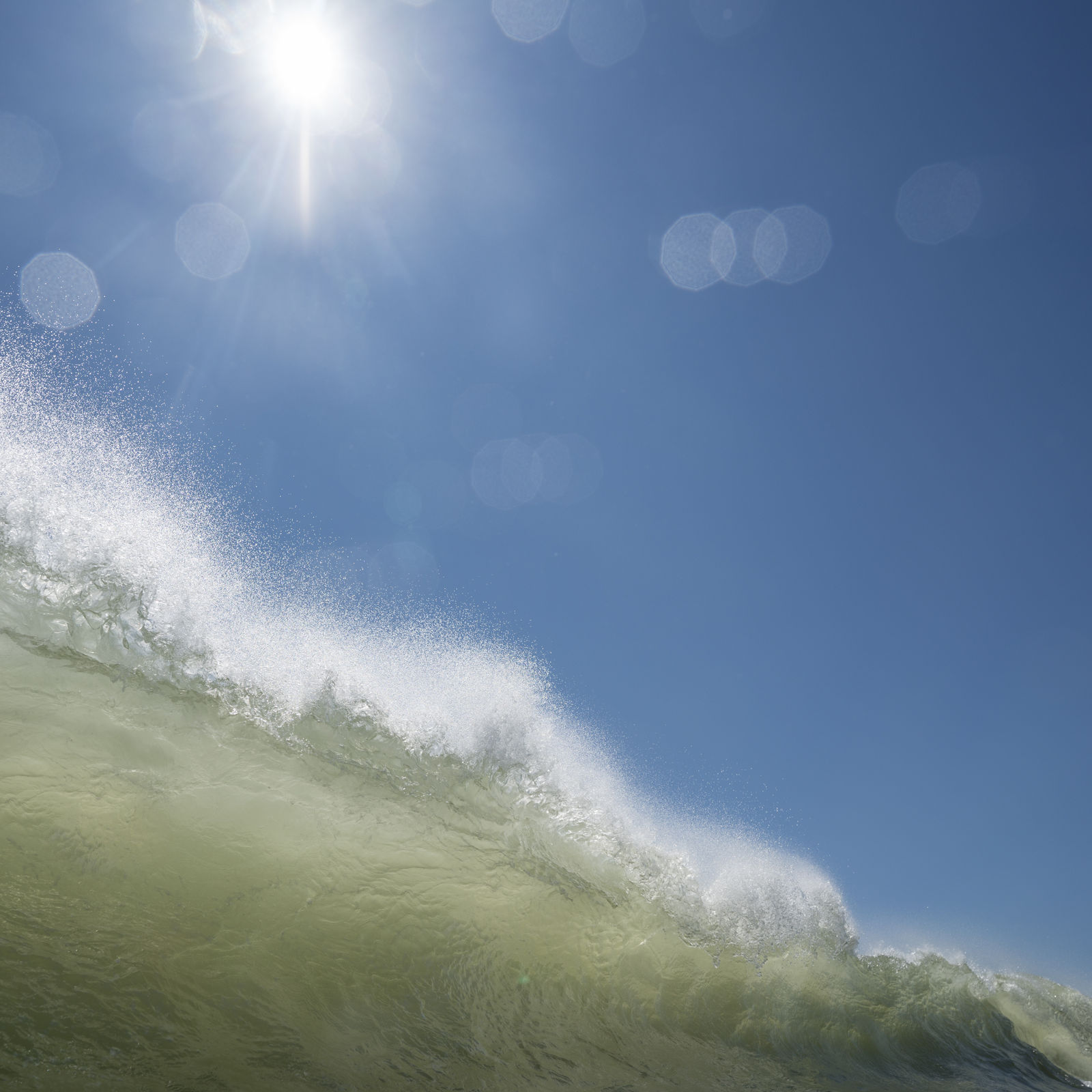 Kit Noble, Overtake, 2023